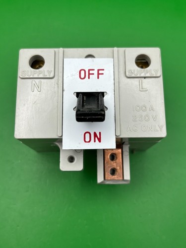 Mem 100a double pole - 100a, main