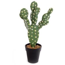 NEW 26CM FLAT LEAF CACTUS IN
