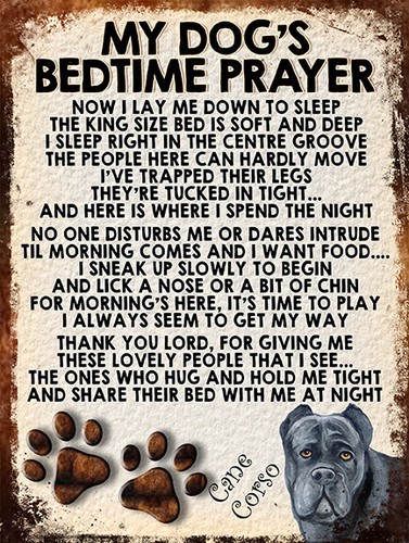 Dog bedtime prayer - my, dog's