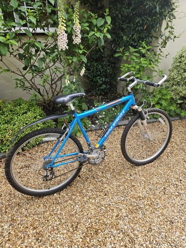 Raleigh stonefly mountain bike - raleigh,