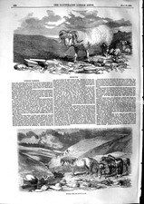 Original Old Antique Print