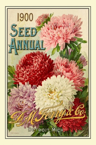1900 gardening floral - 1900's,