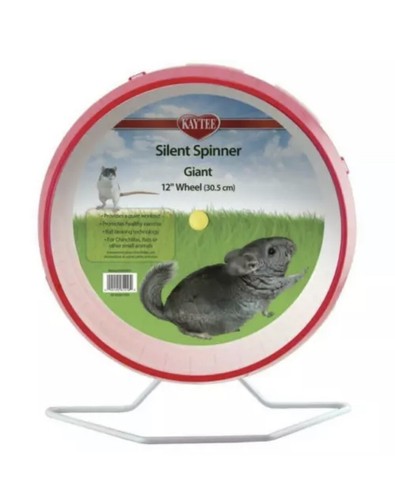 Exercise wheel rat - rat, chinchilla