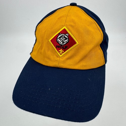 Boy scouts america - boy, cub