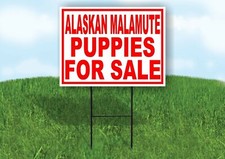 Alaskan Malamute PUPPIES FOR