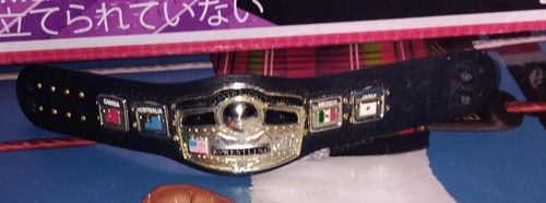 Nwa championship belt from tna - championship,
