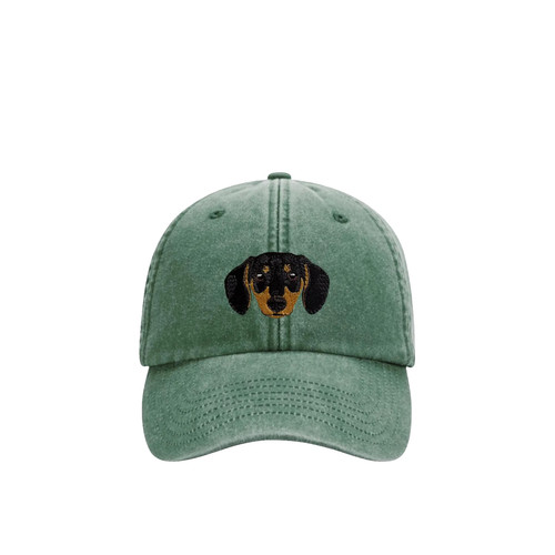 Dachshund black tan dog - dachshund, &