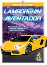 Lamborghini Aventador - 9781645192640