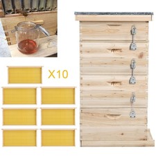 XL Large 4 Tier Langstroth