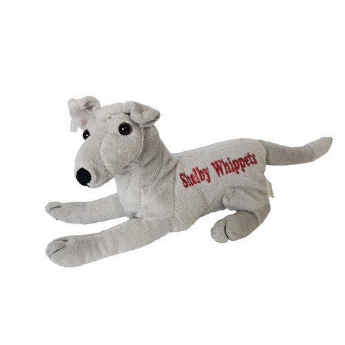 Greyhound whippets italian - whippets,