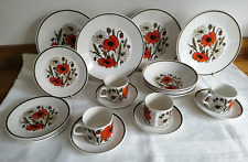 J & G Meakin Poppy Design  20