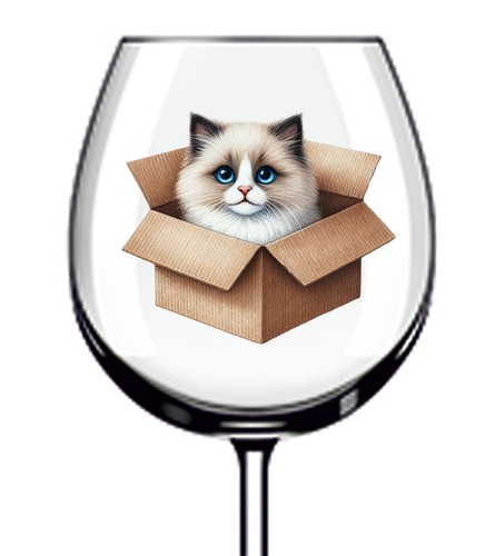 12x ragdoll cat - 12x,