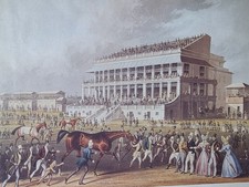 Derby Winner 1836 Horse Racing