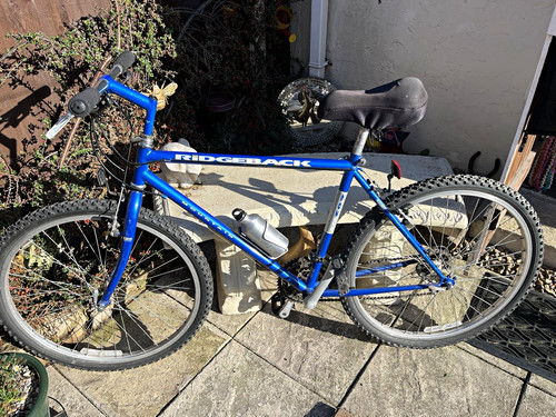 Retro ridgeback mountain - retro,
