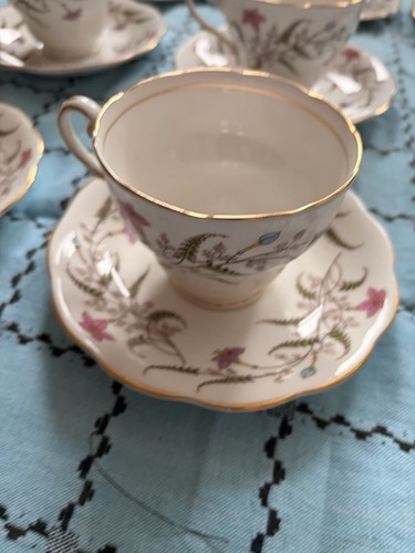 Fancy free royal standard - "fancy, standard-