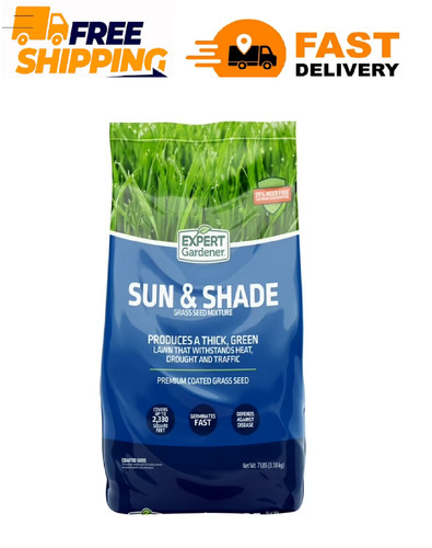 Kentucky bluegrass northern - bluegrass,