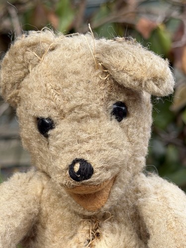 Vintage old teddy bear alan - bear,