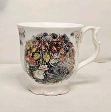 Royal Doulton Bramley Hedge Autumn Beaker mouse mice blackberry cup mug unused 