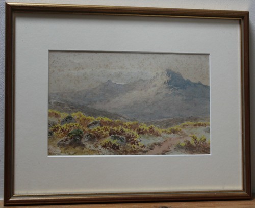 Dyer watercolour leather - h,