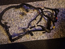 Citroën/Peugeot  Wiring Loom