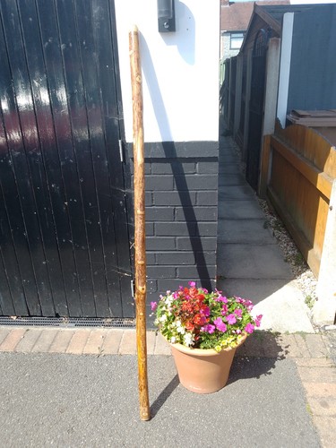 Huge stout walking staff - huge,