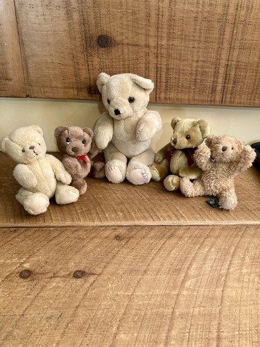 Teddy bear bundle - x, 5