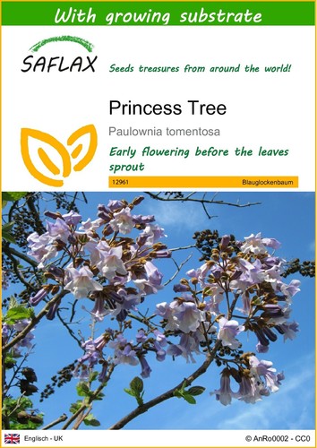 Saflax princess tree - -, 200