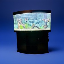 Juwel vision bow front  260 aquarium Complete Aquarium set up/ Eheim