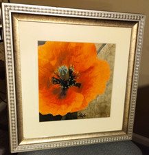 Orange Poppy Flower Art Frame
