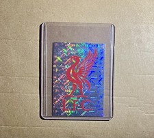 Panini Liverpool Fc Collection