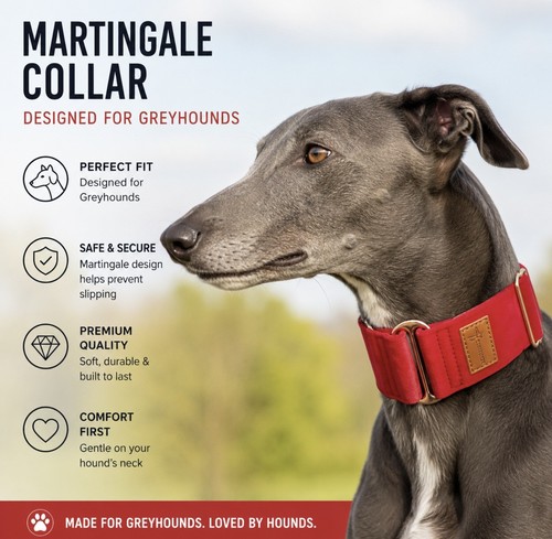 Luxury soft velvet martingale - luxury,