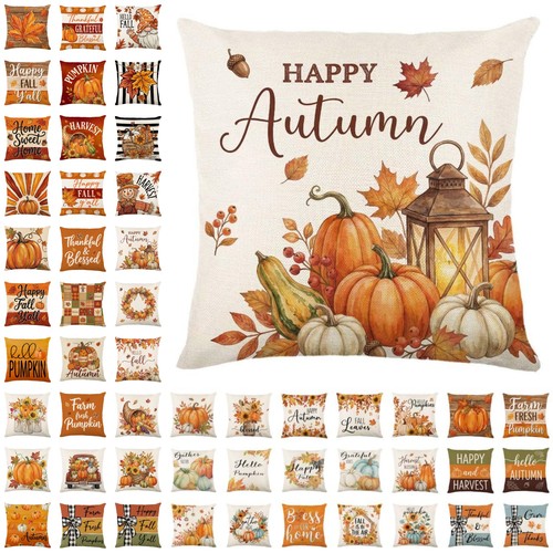 New autumn harvest - harvest, fall