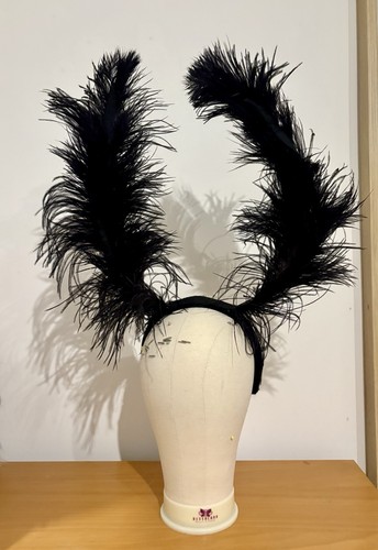 Black ostrich feather - feather, showgirl