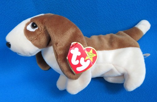 Tracker basset hound puppy dog - hound,