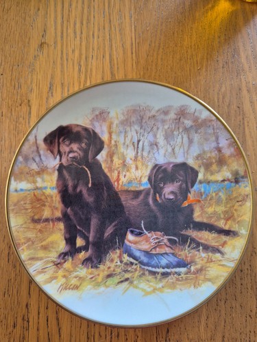 Labrador dogs collectors plate - collectors,