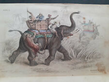  Elephant of India caparisoned hunting tiger coloured etching plate W.H. Lizars 