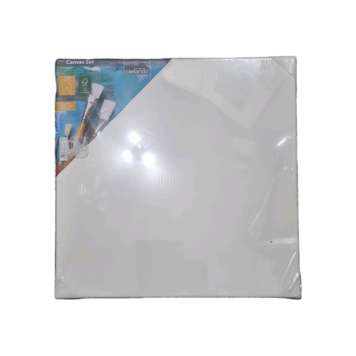 Blank artist canvas art - blank,