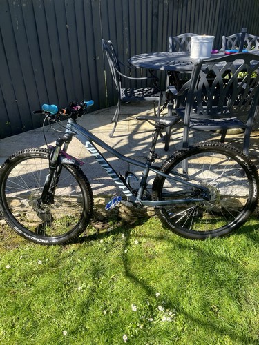 Specialized rock hopper comp - rock,