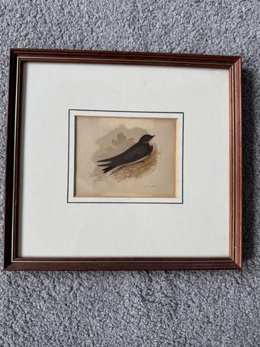 Framed antique picture a - antique,