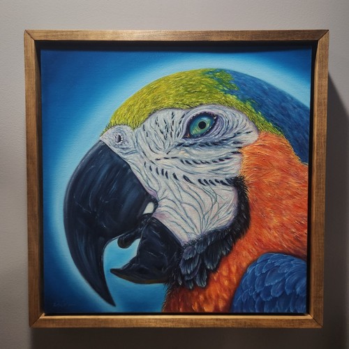 Bird art blue - art, macaw