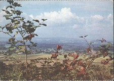Blackdown Hills West Sussex