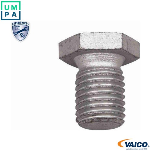 Screw plug oil sump - screw,