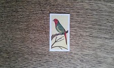 Noddy's Budgie & Feathered Friends No.17 Parrot Finch COMO Confectionery 1959