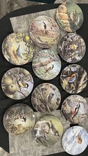 12 Wedgwood Bond's Birds of Britain Collector's plates Danbury Mint Terance Bond