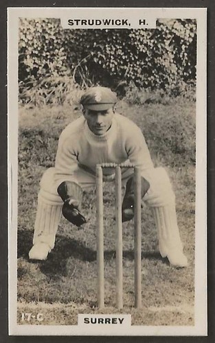 Phillips cricketers brown back - phillips-cricketers,