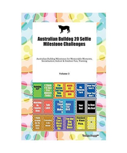 Australian bulldog selfie - australian,