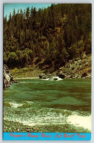 Postcard jet boat trip - boat, rogue