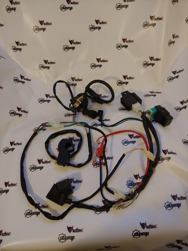 Pit bike complete wiring - bike,