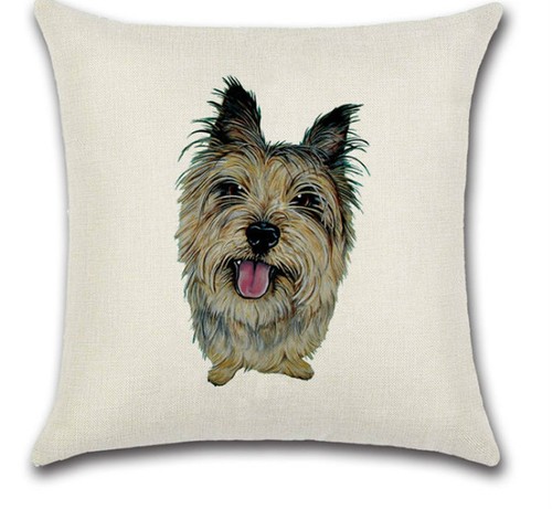 Yorkshire terrier dog yorkie - yorkshire,