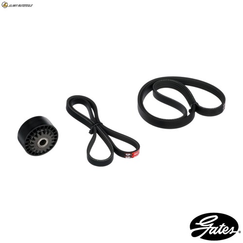 Ribbed belt kit k033pk753 - belt,